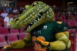 Thumbs/tn_IMG_8793.jpg