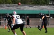 Thumbs/tn_IMG_9368.jpg