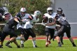 Thumbs/tn_IMG_9446.jpg