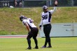 Thumbs/tn_IMG_0240.jpg
