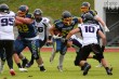 Thumbs/tn_IMG_0485.jpg