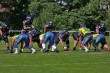 Thumbs/tn_IMG_3010.jpg