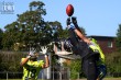 Thumbs/tn_IMG_3338.jpg