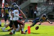 Thumbs/tn_IMG_4088.jpg