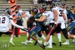 Thumbs/tn_IMG_4306.jpg