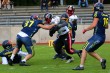 Thumbs/tn_IMG_4377.jpg