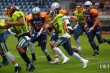Thumbs/tn_IMG_4618.jpg