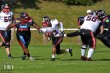 Thumbs/tn_IMG_5375.jpg