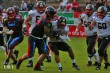 Thumbs/tn_IMG_6025.jpg