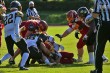 Thumbs/tn_IMG_6436.jpg