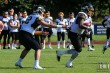 Thumbs/tn_IMG_6441.jpg