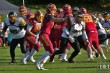 Thumbs/tn_IMG_6713.jpg