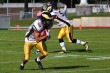 Thumbs/tn_IMG_7868.jpg