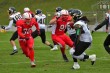 Thumbs/tn_IMG_8349.jpg