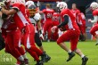 Thumbs/tn_IMG_8377.jpg