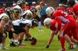 Thumbs/tn_IMG_8415.jpg