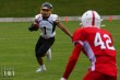 Thumbs/tn_IMG_8433.jpg