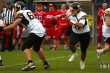 Thumbs/tn_IMG_8521.jpg