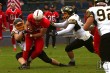 Thumbs/tn_IMG_8537.jpg