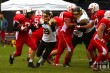 Thumbs/tn_IMG_8543.jpg