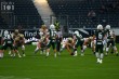 Thumbs/tn_IMG_8724.jpg