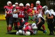 Thumbs/tn_IMG_1014.jpg