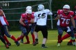Thumbs/tn_IMG_1237.jpg