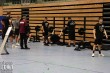Thumbs/tn_IMG_0713.jpg