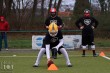 Thumbs/tn_IMG_2037.jpg