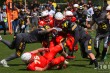 Thumbs/tn_IMG_1206.jpg