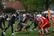 Thumbs/tn_IMG_1323.jpg