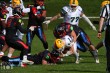 Thumbs/tn_IMG_1731.jpg