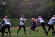 Thumbs/tn_IMG_2453.jpg