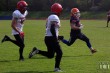 Thumbs/tn_IMG_2639.jpg