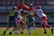 Thumbs/tn_IMG_3162.jpg