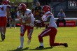 Thumbs/tn_IMG_3223.jpg