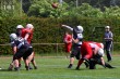 Thumbs/tn_IMG_3526.jpg
