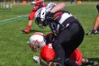 Thumbs/tn_IMG_3535.jpg