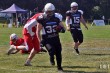 Thumbs/tn_IMG_3582.jpg