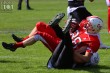Thumbs/tn_IMG_3633.jpg