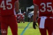Thumbs/tn_IMG_3727.jpg