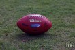 Thumbs/tn_IMG_3887.jpg