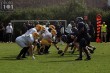 Thumbs/tn_IMG_3991.jpg