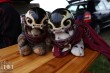 Thumbs/tn_IMG_5559.jpg