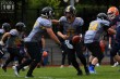 Thumbs/tn_IMG_5744.jpg