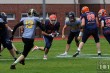 Thumbs/tn_IMG_5763.jpg