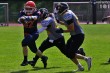 Thumbs/tn_IMG_5814.jpg