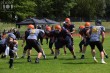 Thumbs/tn_IMG_5848.jpg
