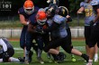 Thumbs/tn_IMG_5879.jpg