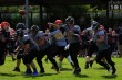 Thumbs/tn_IMG_5961.jpg